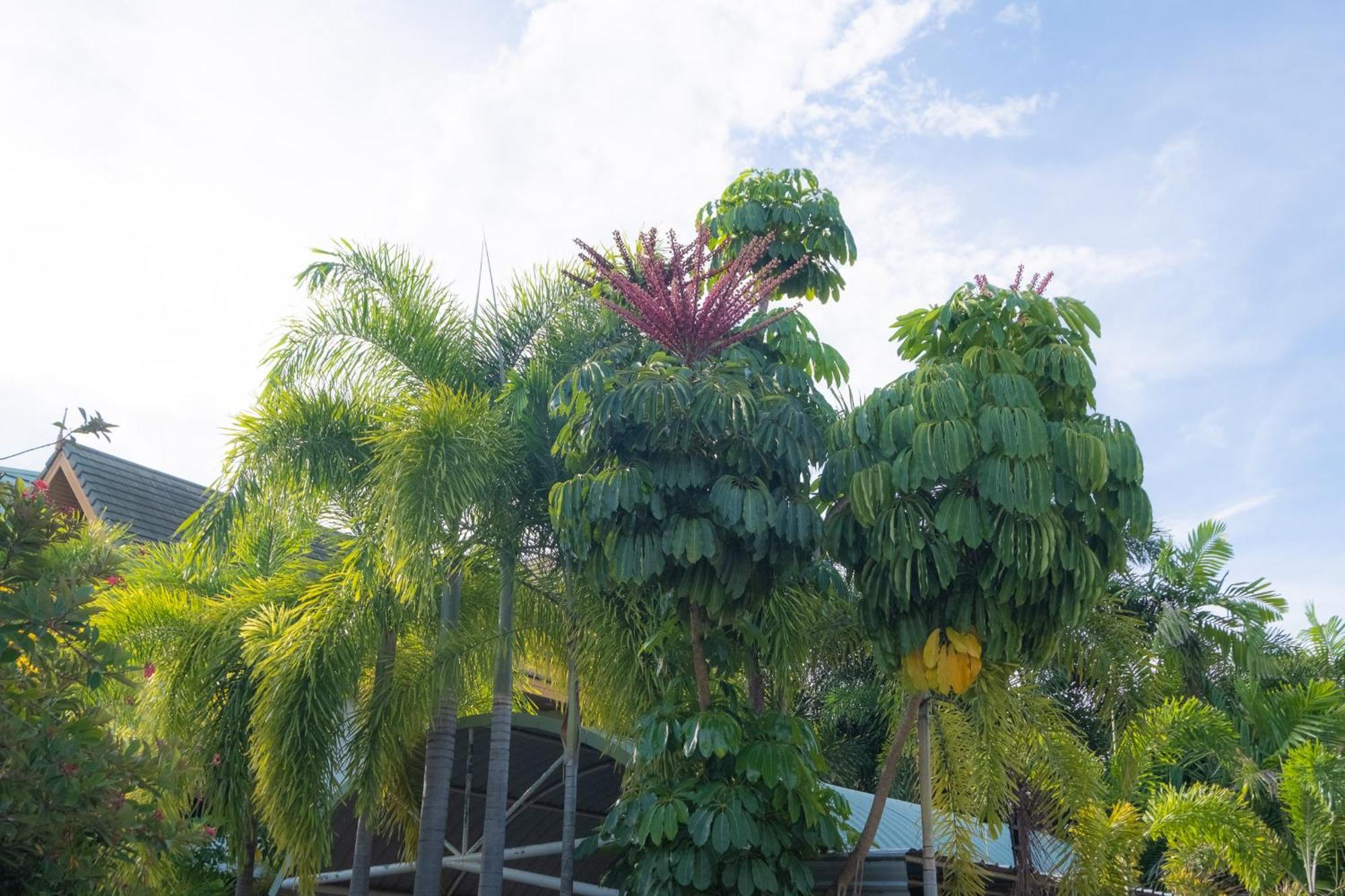 Blue Beach Grand Resort And Spa In Chalong Phuket By Dayuu Ban Saiyuan Exteriér fotografie